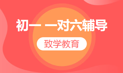 初一 一对六辅导