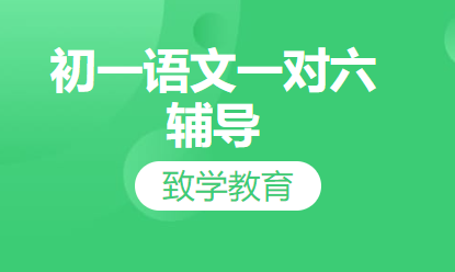 初一语文一对六辅导