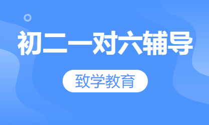 初二一对六辅导