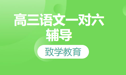 高三语文一对六辅导