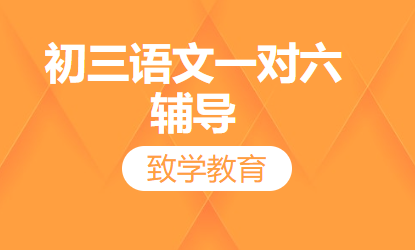 初三语文一对六辅导