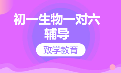 初一生物一对六辅导
