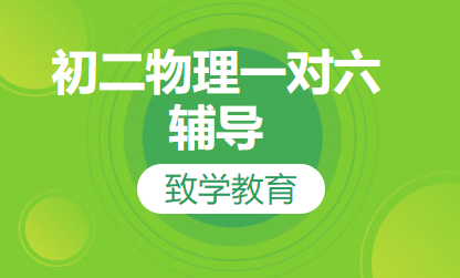 初二物理一对六辅导
