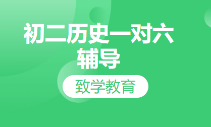 初二历史一对六辅导