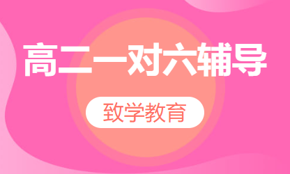 高二一对六辅导