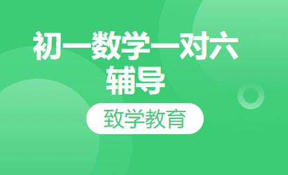 初一数学一对六辅导