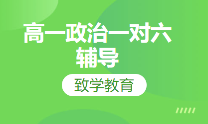 高一政治一对六辅导