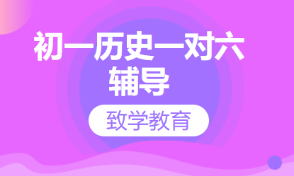 初一历史一对六辅导