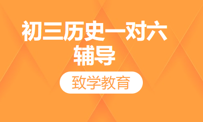 初三历史一对六辅导
