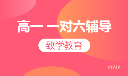 高一 一对六辅导
