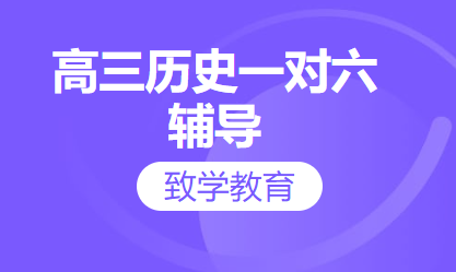 高三历史一对六辅导